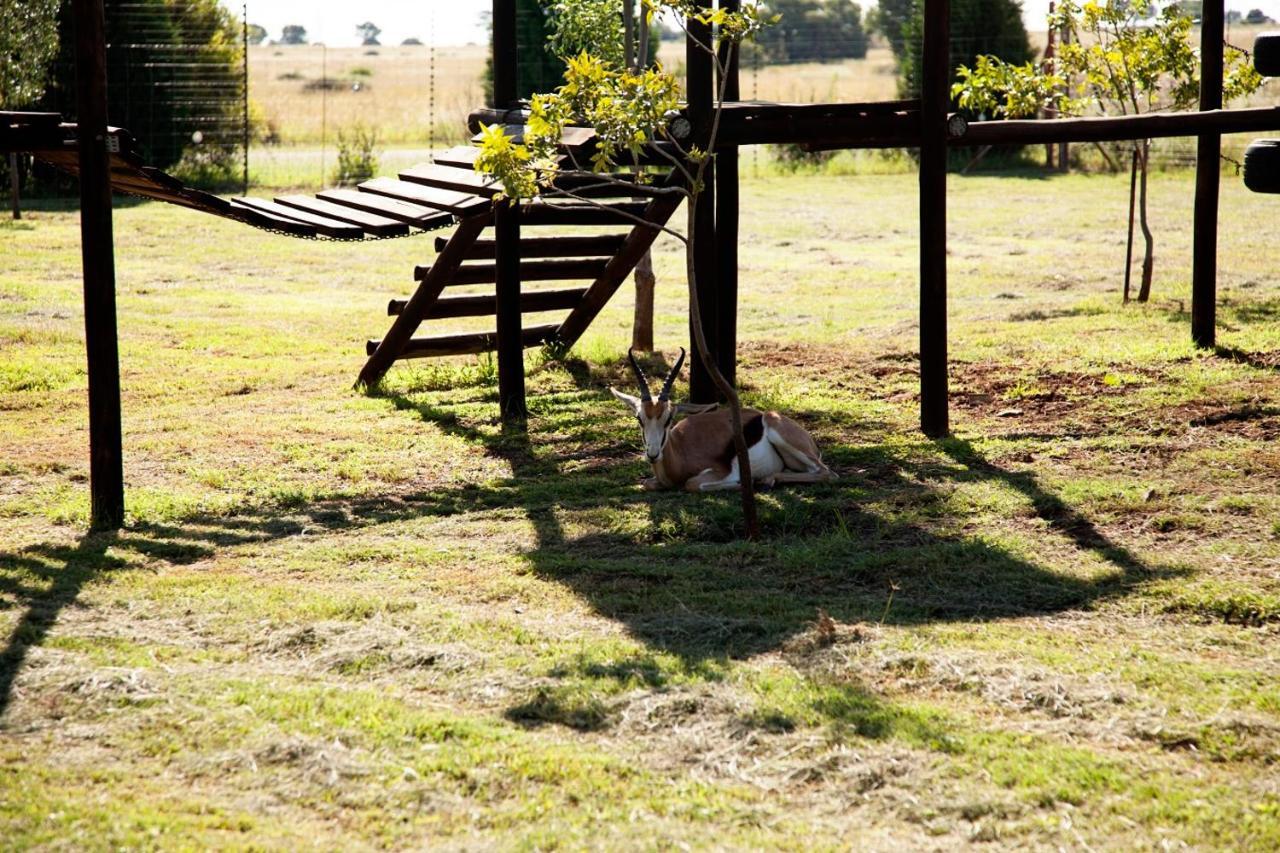 Fairhaven Guest House Klerksdorp Bagian luar foto
